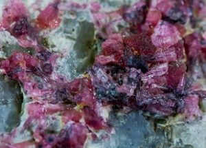 mushroom tourmaline