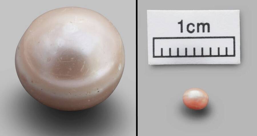 oldest natural pearl